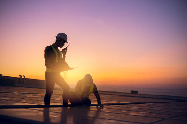 Best Roof Gutter Cleaning  in George, IA