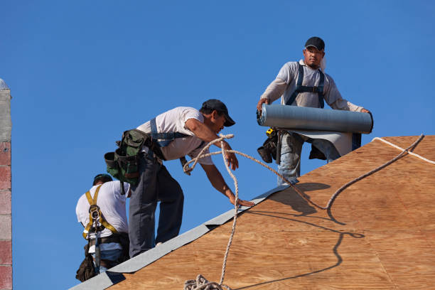 Best Best Roofing Contractors  in George, IA