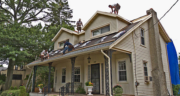 Best Affordable Roofing Company  in George, IA